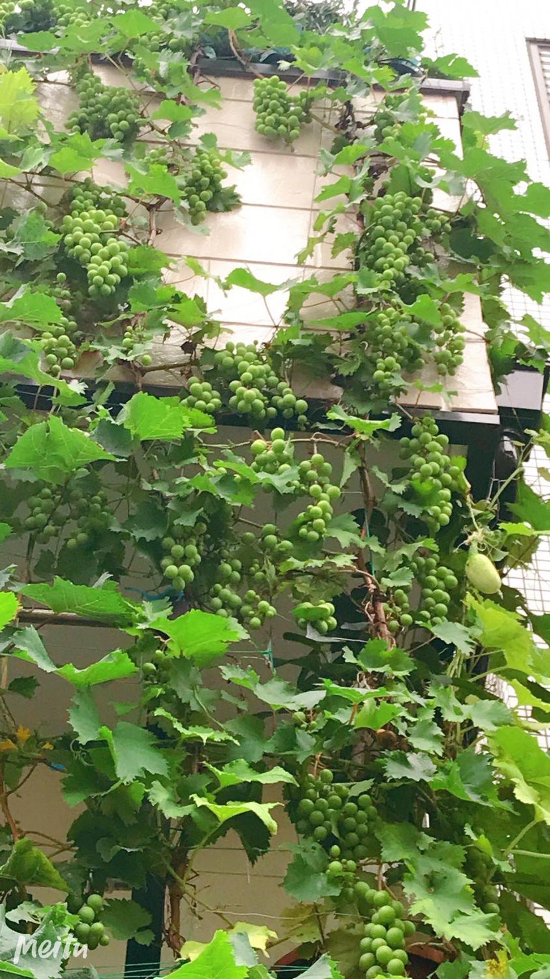 東京吉久花園旅館 Holiday home